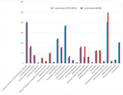 Comparative Analysis of the Flavobacterium columnare Genomovar I and II Genomes